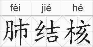肺结核的拼音