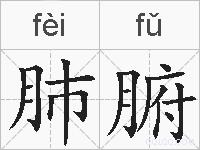 肺腑的拼音