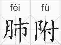 肺附的拼音