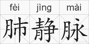 肺静脉的拼音