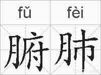 腑肺的拼音