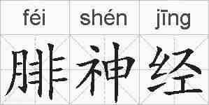 腓神经的拼音
