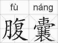 腹囊的拼音