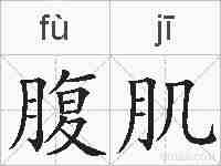 腹肌的拼音