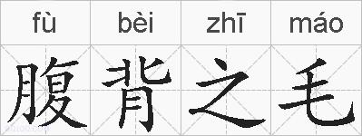 腹背之毛的拼音