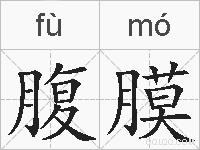 腹膜的拼音