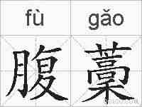 腹藳的拼音