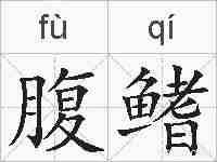 腹鳍的拼音