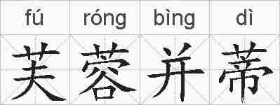 芙蓉并蒂的拼音