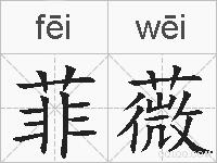 菲薇的拼音