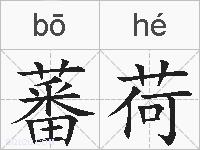 蕃荷的拼音