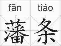 藩条的拼音