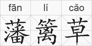 藩篱草的拼音
