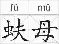 蚨母的拼音