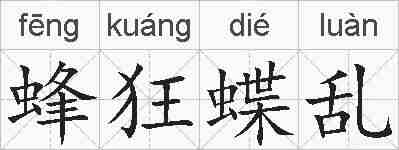 蜂狂蝶乱的拼音