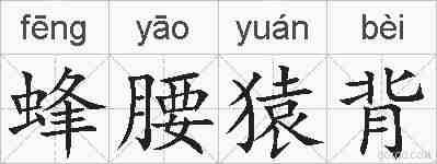 蜂腰猿背的拼音
