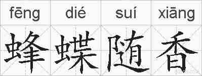 蜂蝶随香的拼音