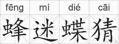 蜂迷蝶猜的拼音