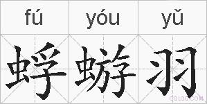 蜉蝣羽的拼音