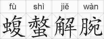 蝮螫解腕的拼音