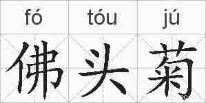 佛头菊的拼音