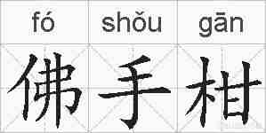 佛手柑的拼音