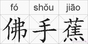 佛手蕉的拼音