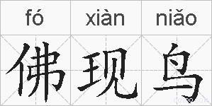 佛现鸟的拼音