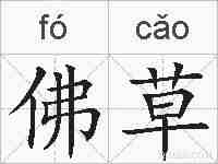 佛草的拼音