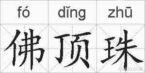 佛顶珠的拼音