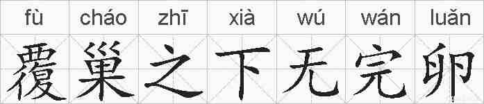 覆巢之下无完卵的拼音