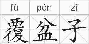 覆盆子的拼音