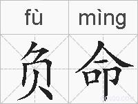 负命的拼音