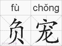 负宠的拼音