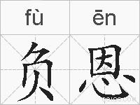 负恩的拼音