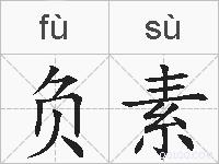 负素的拼音