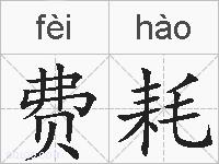 费耗的拼音