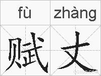 赋丈的拼音