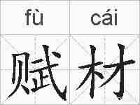赋材的拼音
