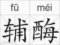 辅酶的拼音