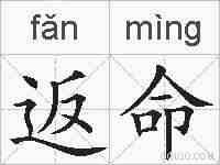 返命的拼音