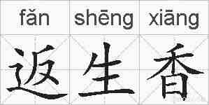 返生香的拼音