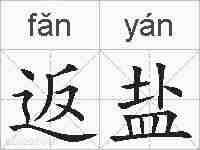 返盐的拼音