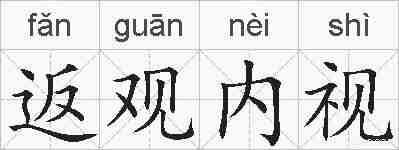 返观内视的拼音