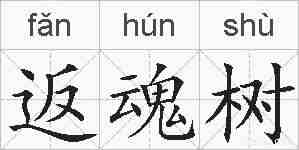 返魂树的拼音