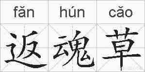 返魂草的拼音