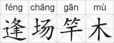 逢场竿木的拼音