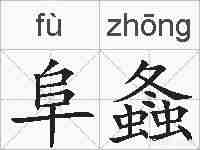 阜螽的拼音