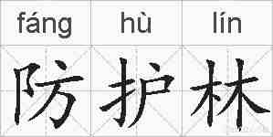 防护林的拼音