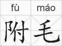 附毛的拼音